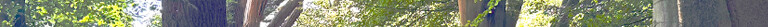 Banner mobiel fina bos bovenl